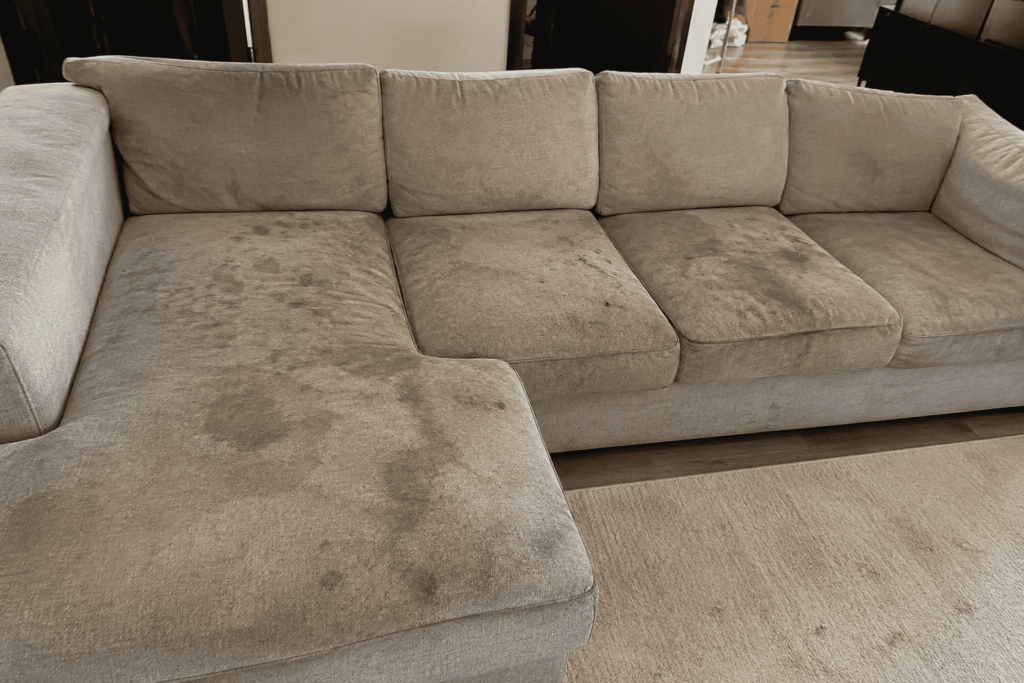 how_much_does_professional_upholstery_cleaning_cost_in_phoenix_arizona