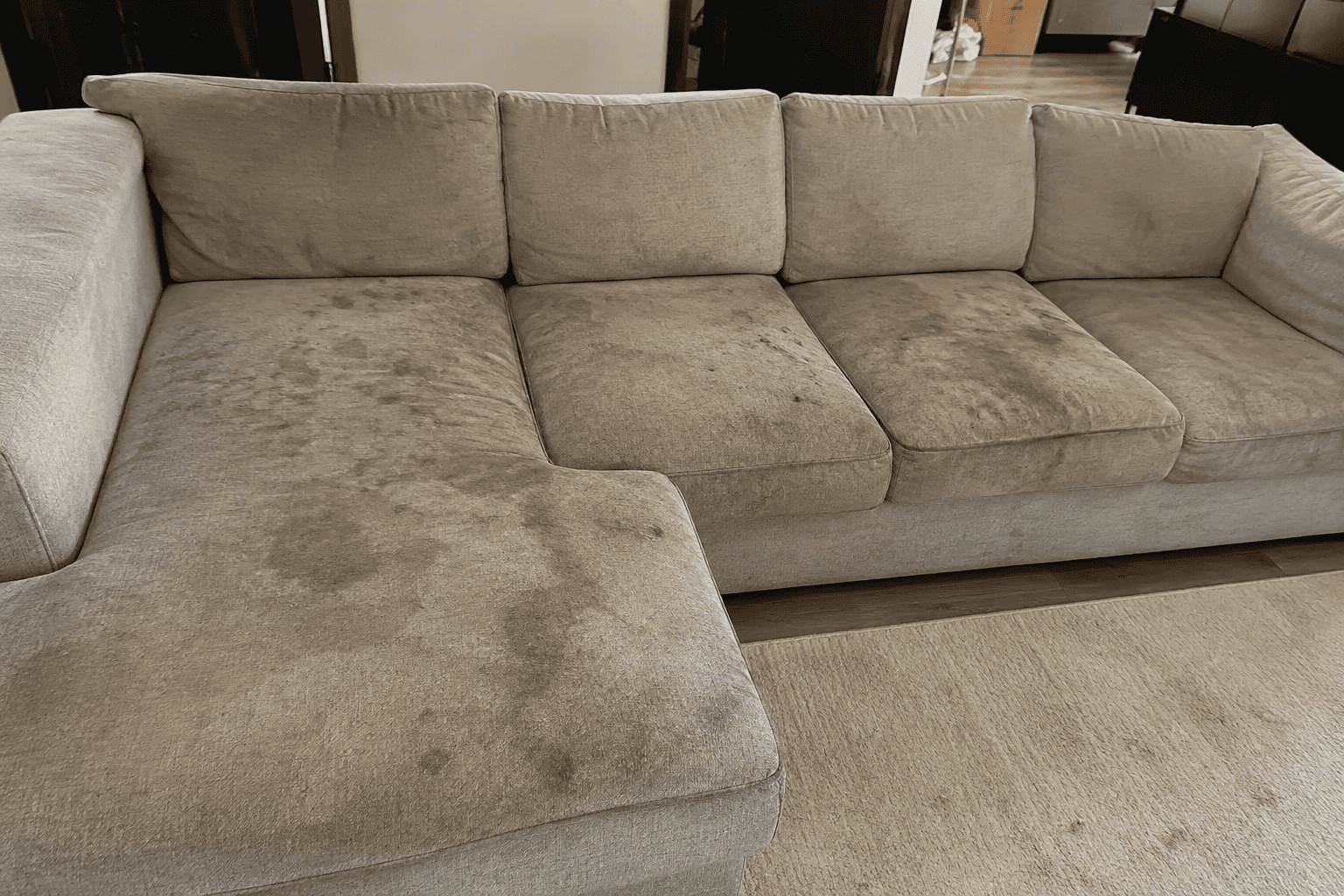how_much_does_professional_upholstery_cleaning_cost_in_phoenix_arizona